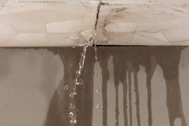 Professional Water Damage Repair technician working in Kingston, IL
